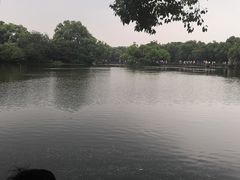 -西湖游船