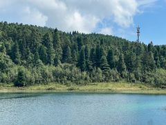 -武陵山森林公园