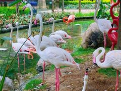 -灵玲国际马戏城