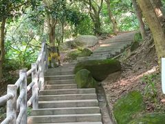 -火炉山森林公园