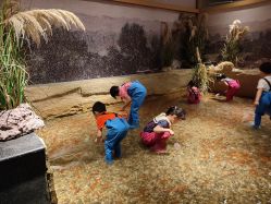 -造物庄园 萌宠纪(苏州湾歌林公园店)