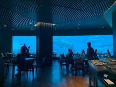 -海棠湾洲际-涛·海底餐厅·美人鱼·自助餐·海底隧道