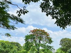 -顺峰山公园