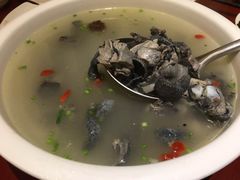 -鸢飞潍坊菜馆(鸢飞大酒店)