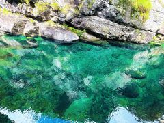 -石台牯牛降景区
