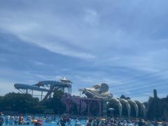 -苏州乐园森林水世界