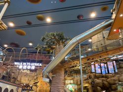 -卡通尼·Safari非洲探索乐园·生日会(金桥国际商业广场店)