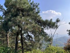 -敬亭山风景名胜区