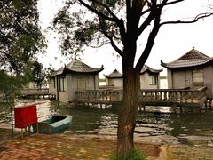 -东湖落雁景区