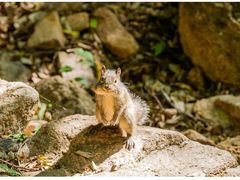 -云峰山自然风景区
