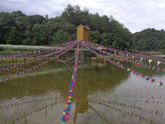 -千岛湖龙川湾