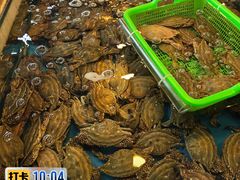 -中国舟山国际水产城