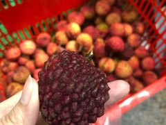 -幸福万寿路果蔬生鲜便民菜站(翠微南里社区店)