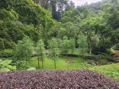 -火炉山森林公园