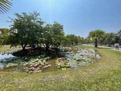 -中国科学院西双版纳热带植物园