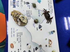 -沈阳海洋探索中心