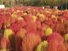 -天津东丽湖风景区