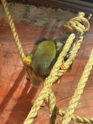 -Zoolung Zoolung动物主题公园(海信广场店)