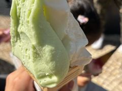 -柠檬车露(卖草地店)