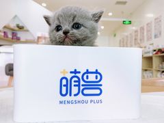 -萌兽医馆·眼科·异宠专科(三里屯店)