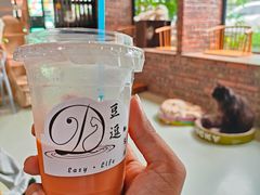 -豆逗聊愈猫阁Easy Life