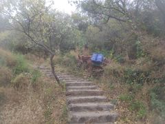 -蟠龙山长城景区