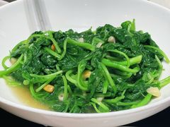 -吴记富苑(朝阳店)