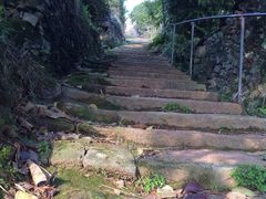 iphone_upload_pic-大罗山风景区