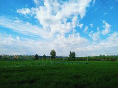 -林间山庄