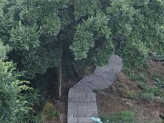 -敬亭山风景名胜区