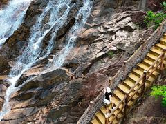 -广州白江湖森林公园