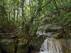 -广州市石门国家森林公园