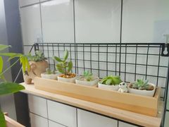 -蜜蜂小象·榴莲千层蛋糕(时代汇11栋店)