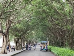 -大湾区中央湿地公园