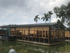 -花溪雨·森林餐厅(石基店)