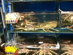 -蚝专家(北滘店)