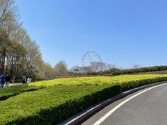 -宜兴龙背山森林公园