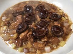 -子福慧(虹桥店)