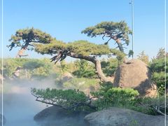 -罗红摄影艺术馆