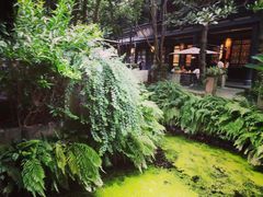 -王家渡火锅(三苏祠店)