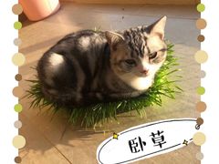 -美联众合动物医院·24h转诊中心