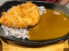 -胜博殿日式炸猪排(西红门店)