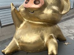 -星光大道