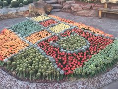 -南通洲际绿博园