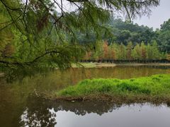 -番禺大夫山森林公园