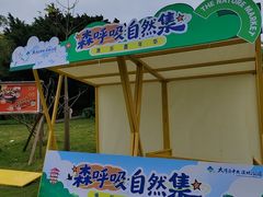-大湾区中央湿地公园