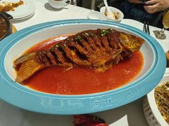 红烧黄河鲤鱼-阿五黄河大鲤鱼(海尚店)