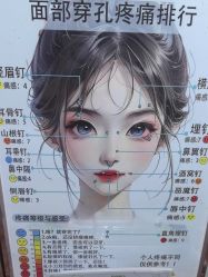 -AI艾耳·专业手工耳洞·穿孔美学馆