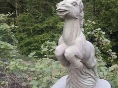-四明山国家森林公园