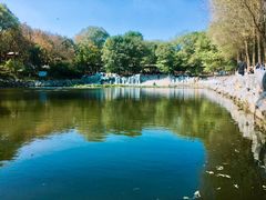 -高尔山公园